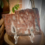 Lake Superior Agate Slab