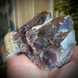 Local Amethyst Cluster - 2025