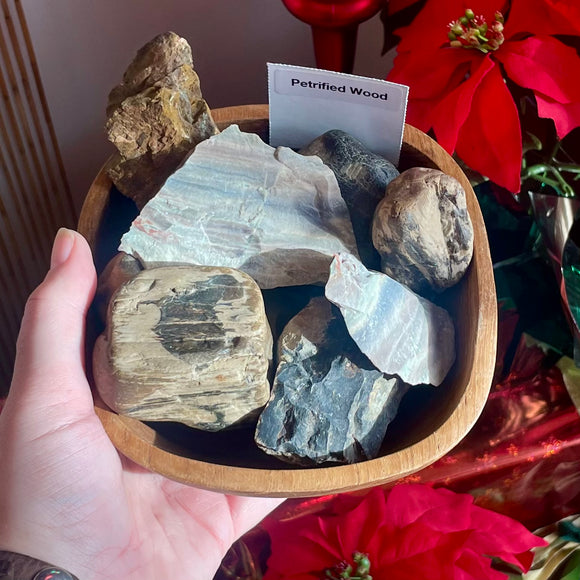 Petrified Wood Raw Pieces