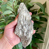 Plumose Lithium Muscovite - Ear Falls