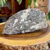 Plumose Lithium Muscovite - Ear Falls