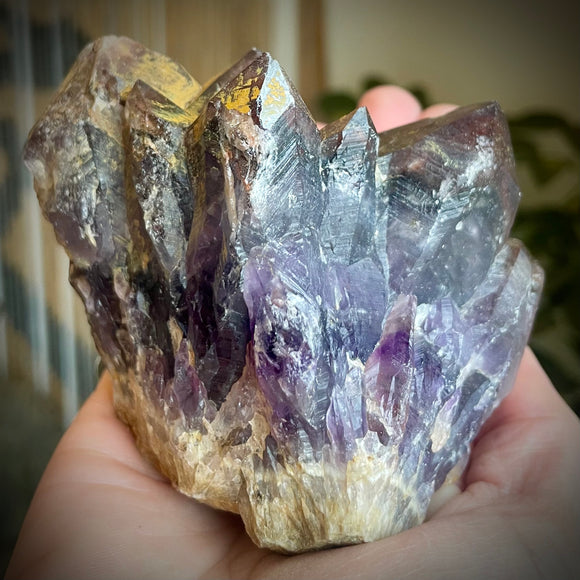 Local Amethyst Cluster - 2025