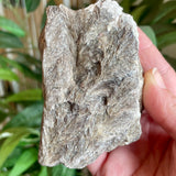 Plumose Lithium Muscovite - Ear Falls