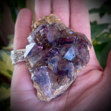 Local Amethyst Cluster - 2025
