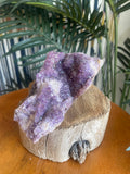 Local Amethyst Raw Specimen