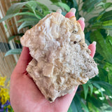 Dogs Tooth Calcite - Local - Shuniah Mines