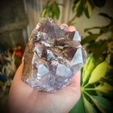 Local Amethyst Cluster - 2025