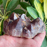 Local Amethyst Cluster - 2025