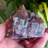 Local Amethyst Cluster - 2025