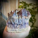Local Amethyst Cluster - 2025
