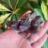 Local Amethyst Cluster - 2025