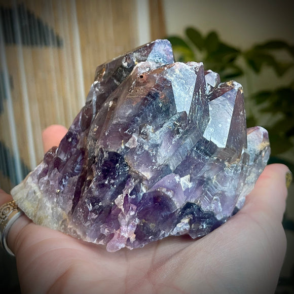 Local Amethyst Cluster - 2025
