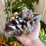 Local Amethyst Cluster - 2025