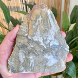 Natural Pyrite Speckled Quartz in Matrix Slab- Bancroft Ontario
