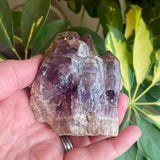Local Amethyst Cluster - 2025