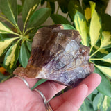 Local Amethyst Cluster - 2025