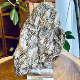 Plumose Lithium Muscovite - Ear Falls