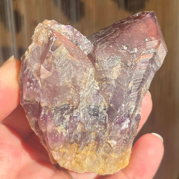 Local Amethyst Cluster - 2025
