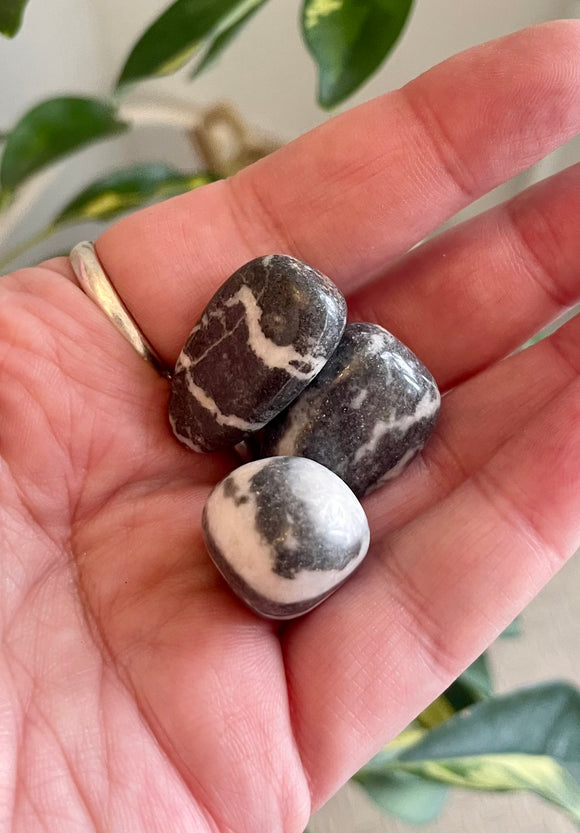 Zebra Jasper Tumble Stone