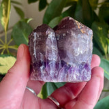Local Amethyst Cluster - 2025