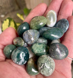 Moss Agate Tumble Stone