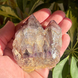 Local Amethyst Cluster - 2025
