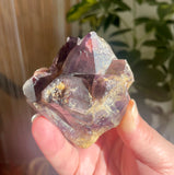 Local Amethyst Cluster - 2025