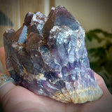 Local Amethyst Cluster - 2025