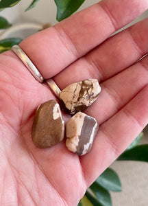 Zebra Jasper Tumble Stone
