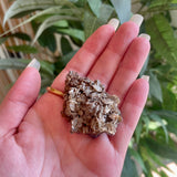 Dogs Tooth Calcite on Amethyst - Local - Shuniah Mines