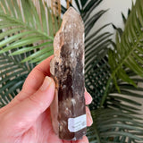 Lemurian Smoky Quartz Point
