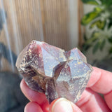 Local Amethyst Cluster