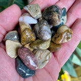 Ocean Jasper Tumble Stone