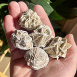 Desert Rose Raw Stone