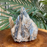 Blue Kyanite Specimen 444
