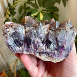 Local Amethyst Cluster - 2025