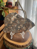 Lake Superior Agate Slab - Current River Agate