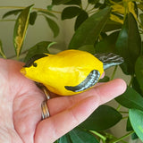Yellow Bird by Wojo