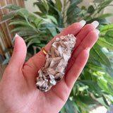 Dogs Tooth Calcite - Local - Shuniah Mines