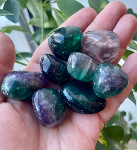 Fluorite Tumble - Grade A Fluorite