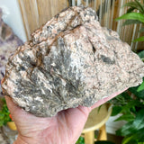 Plumose Lithium Muscovite - Ear Falls