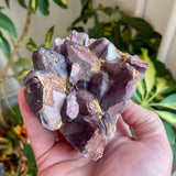 Local Amethyst Cluster - 2025