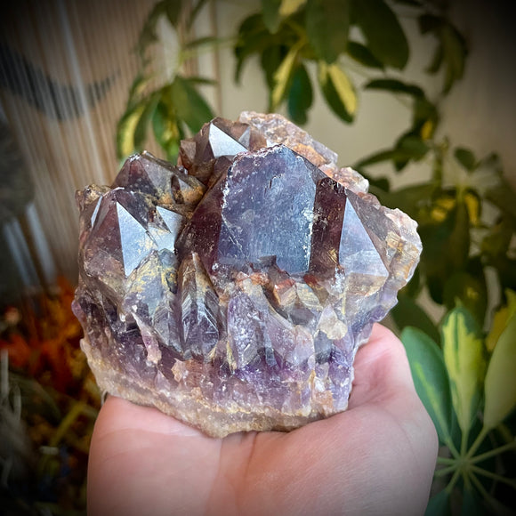 Local Amethyst Cluster - 2025
