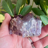 Local Amethyst Cluster - 2025