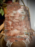 Lake Superior Agate Slab