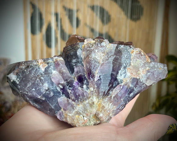 Local Amethyst Cluster - 2025