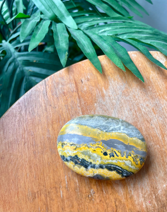 Bumblebee Jasper Palm Stone