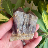 Local Amethyst Cluster - 2025