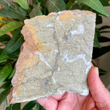 Natural Pyrite Speckled Quartz in Matrix Slab - Bancroft Ontario