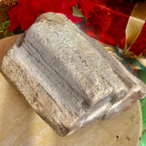 Petrified Wood Log Piece - Indonesia